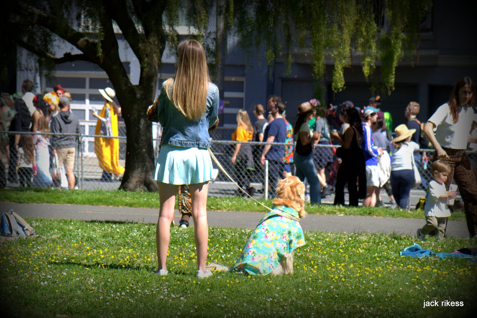 Bay to Breakers — girl and dog watching the race