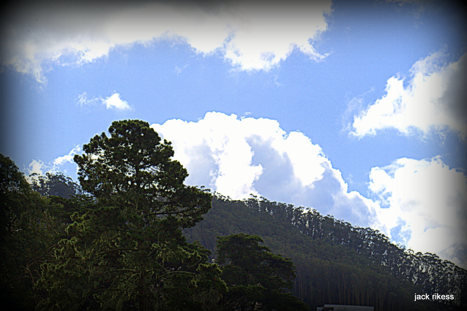 My Neighborhood — forested hillside with blue sky and clouds