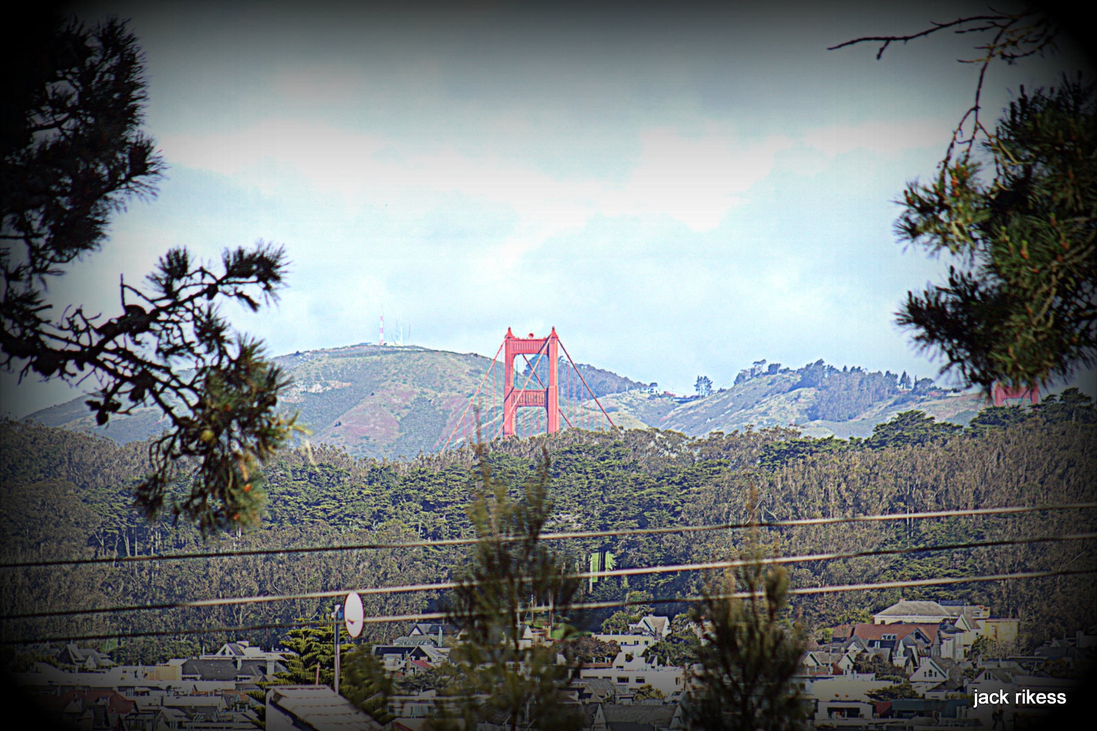 My Neighborhood — Golden Gate Bridge tower framed by trees