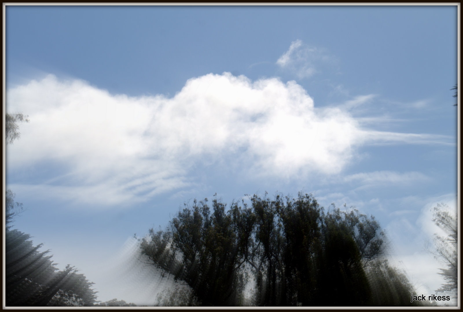 My Neighborhood — park trees and soft clouds with light rays