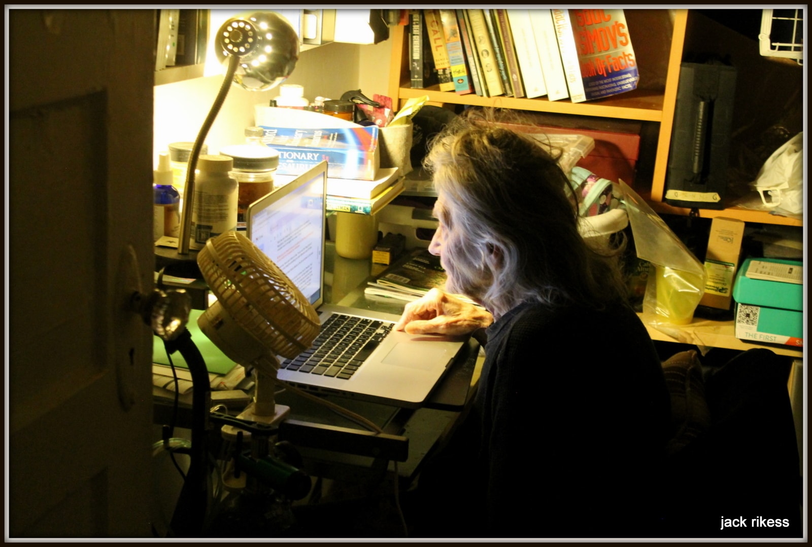 Pebbles — working at desk with laptop at night