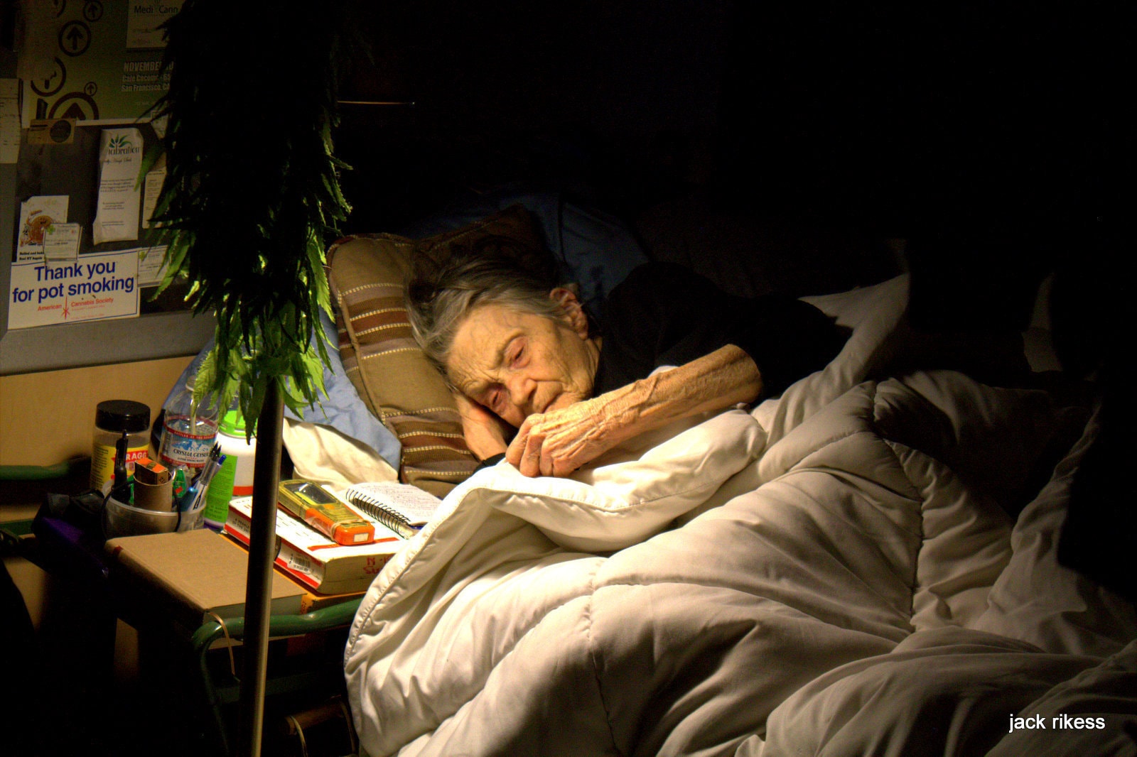 Pebbles — sleeping beside books and plants