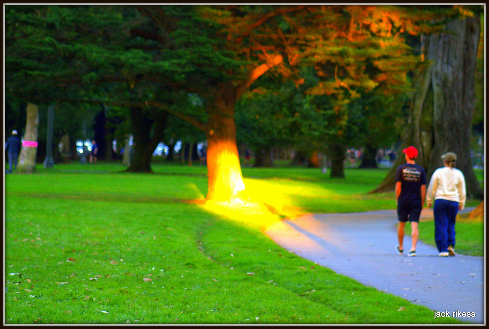 People — couple walking a park path at dusk with glowing trees