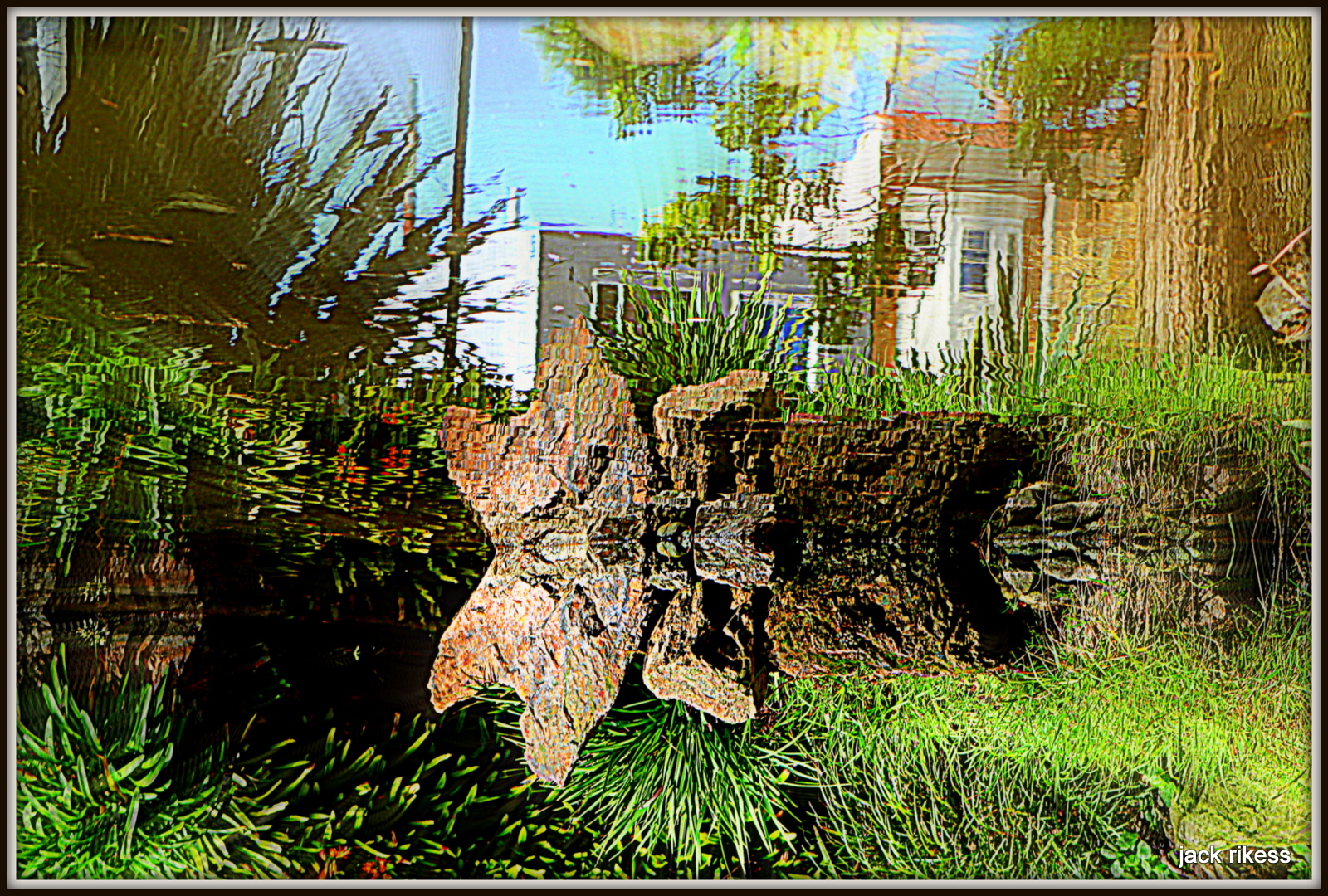 My Neighborhood — tree stump and garden reflection